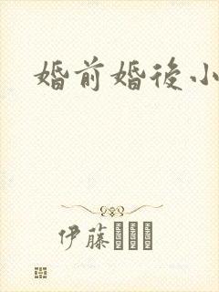 婚前婚后小说