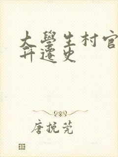 大学生村官艳遇升迁史