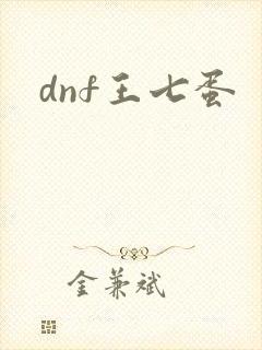 dnf王七蛋