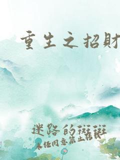 重生之招财进宝