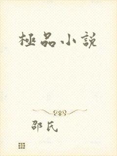 极品小说