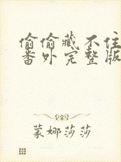 偷偷藏不住新婚番外完整版