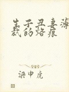 生子丑妻薄情总裁的烙痕