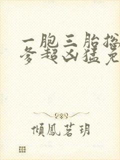 一胞三胎总裁爹爹超凶猛免费阅读