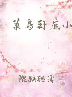 菜鸟卧底小正太