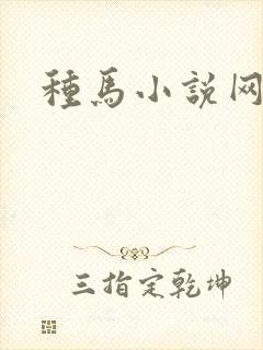 种马小说网