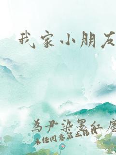 我家小朋友小说