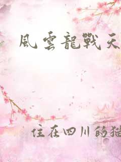 风云龙战天下