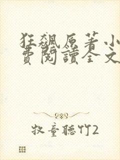 狂飙原著小说免费阅读全文