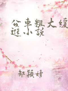 公车粗大缓缓挤进小说