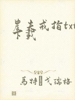 农夫戒指txt下载