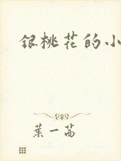 银桃花的小说