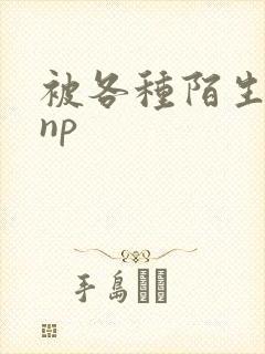 被各种陌生人 np