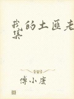 我的土匪老婆全集