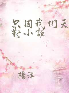 只因我们天生一对小说