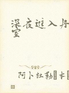 深夜进入丹丹卧室