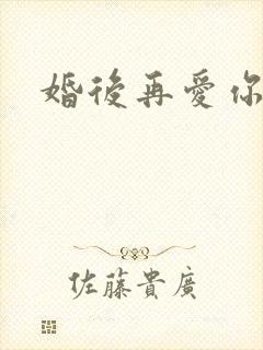 婚后再爱你