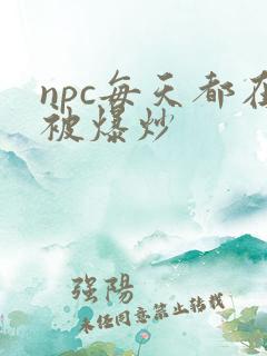 npc每天都在被爆炒
