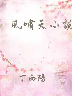 风啸天小说