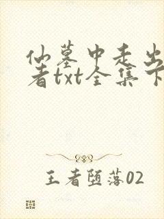 仙墓中走出的强者txt全集下载