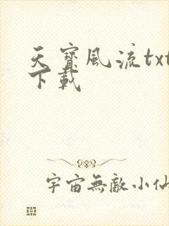天宝风流txt下载