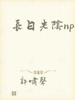 长日光阴np
