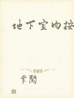 地下室肉按摩椅