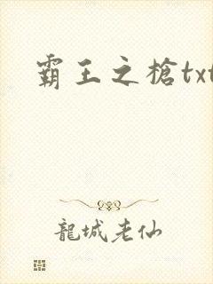霸王之枪txt