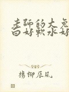 老师的大兔子好白好软水好多