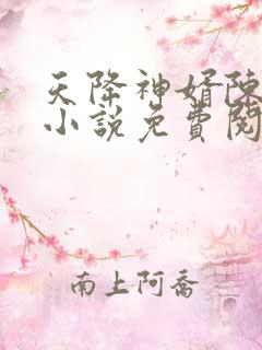 天降神婿陈黄皮小说免费阅读