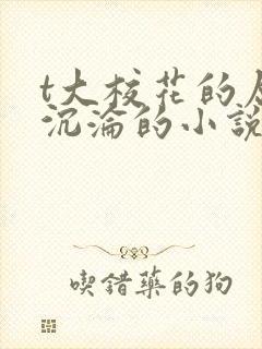 t大校花的屈辱沉沦的小说