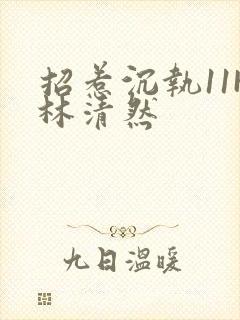 招惹沉执11H林清然