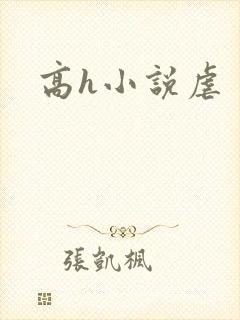 高h小说虐