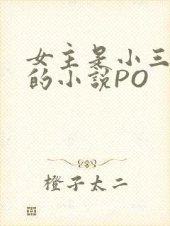 女主是小三很婊的小说PO