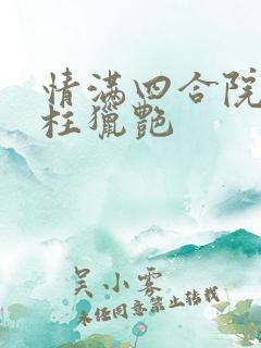 情满四合院之傻柱猎艳