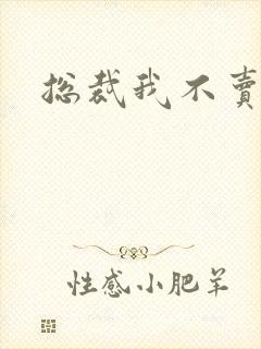 总裁我不卖宝宝