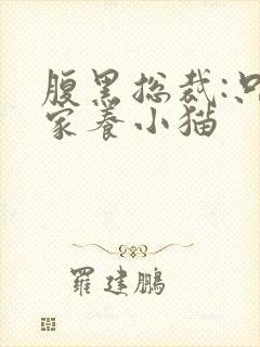 腹黑总裁:只疼家养小猫