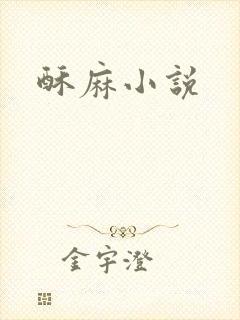 酥麻小说