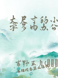 大尺寸的小黄说字多肉办公室