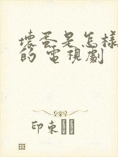 坏蛋是怎样炼成的 电视剧