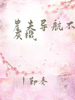 农夫导航不要打灰机