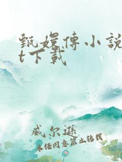 甄嬛传小说txt下载