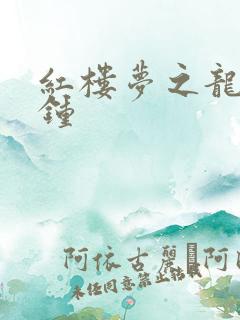 红楼梦之龙套秦钟