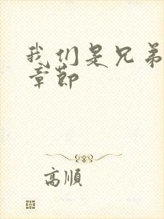 我们是兄弟最新章节