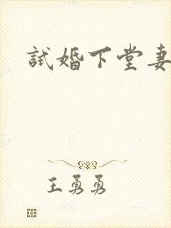 试婚下堂妻
