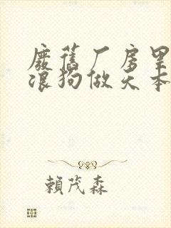 废旧厂房里和流浪狗做天本