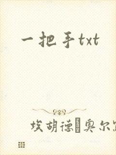 一把手txt