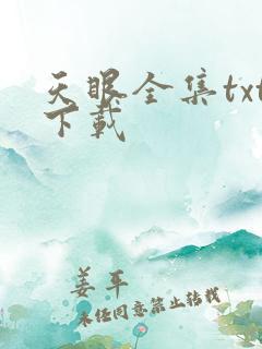 天眼全集txt下载