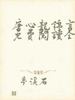 唐心龙锦言小说免费阅读全文