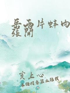 岳两片蚌肉缓缓张开